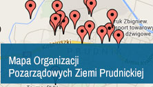 Ikona: mapa organizacji pozarządowych